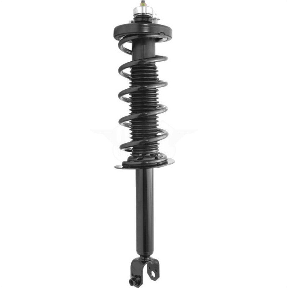 Suspension Strut Coil Spring Assembly