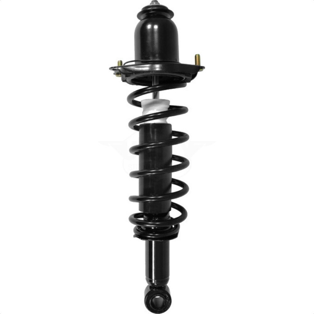 Suspension Strut Coil Spring Assembly
