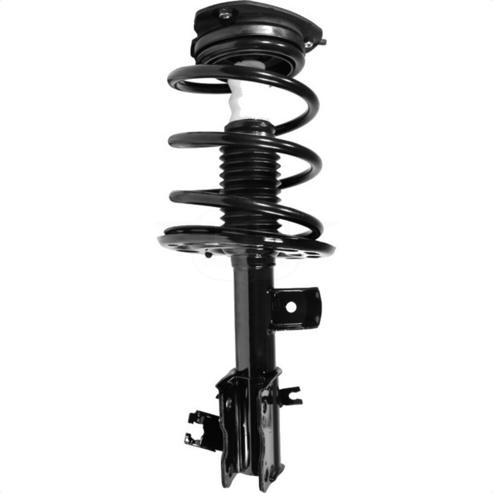 Suspension Strut Coil Spring Assembly