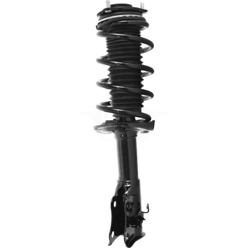 Suspension Strut Coil Spring Assembly