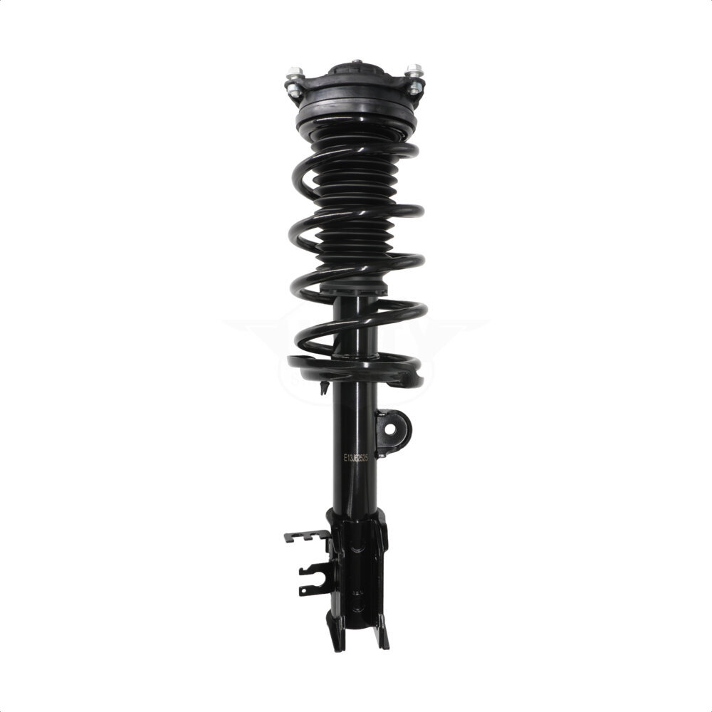 Suspension Strut Coil Spring Assembly
