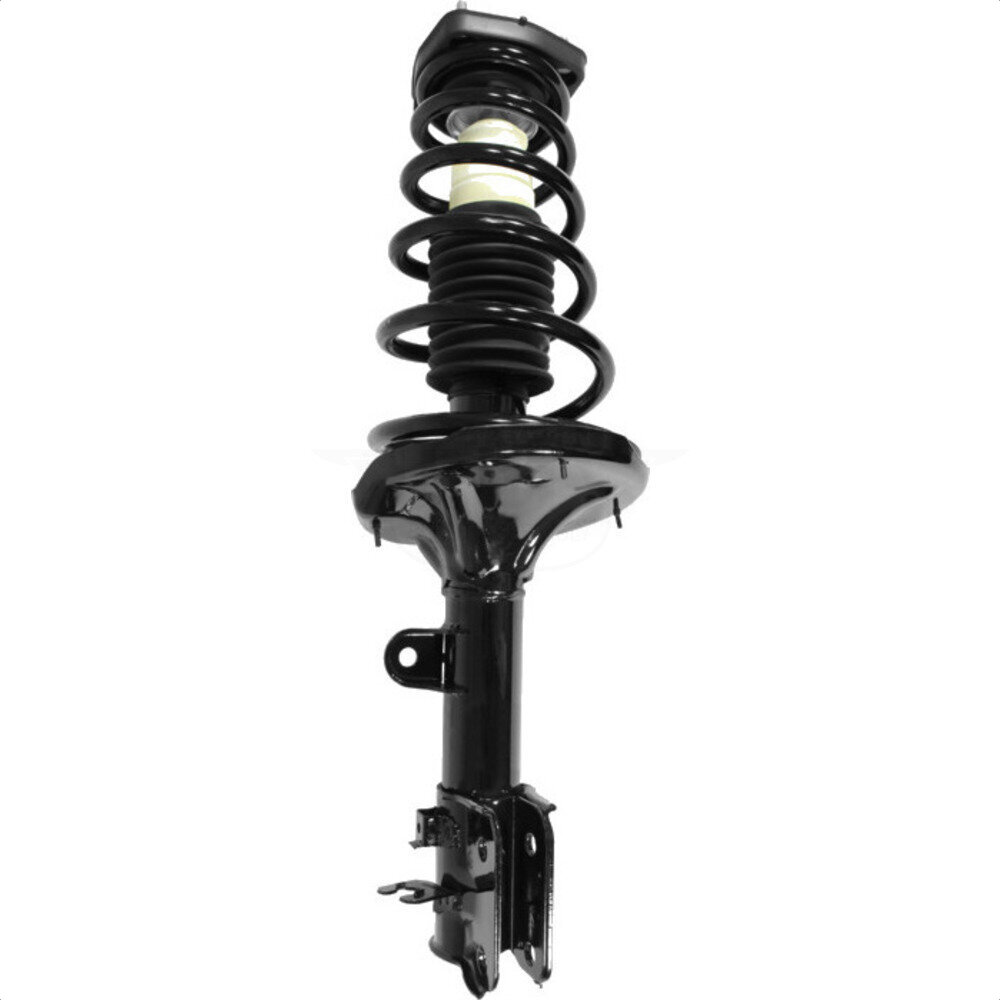 Suspension Strut Coil Spring Assembly