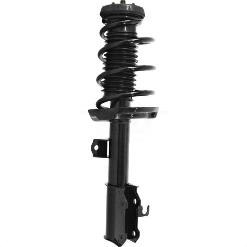 Suspension Strut Coil Spring Assembly