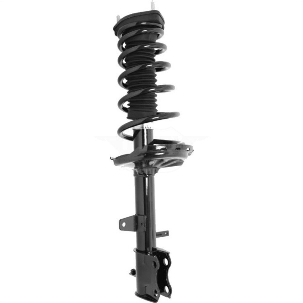Suspension Strut Coil Spring Assembly
