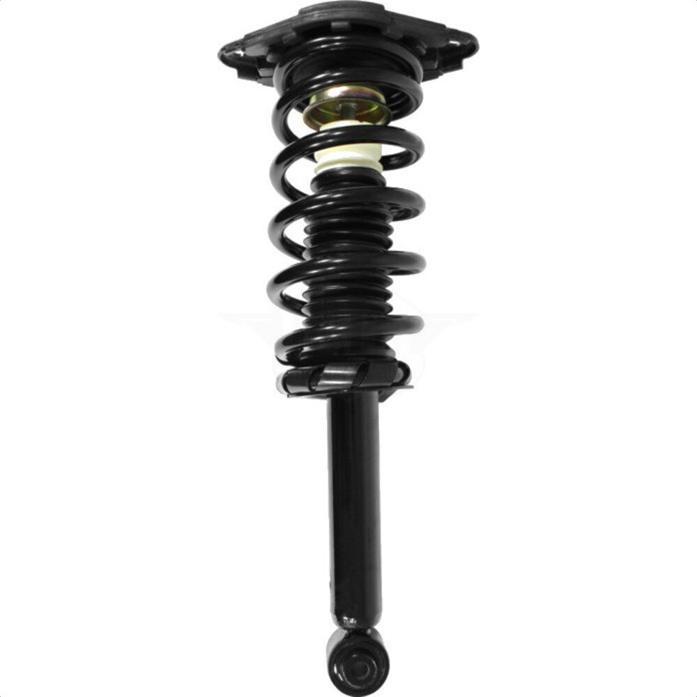 Suspension Strut Coil Spring Assembly