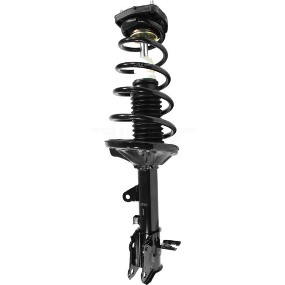 Suspension Strut Coil Spring Assembly