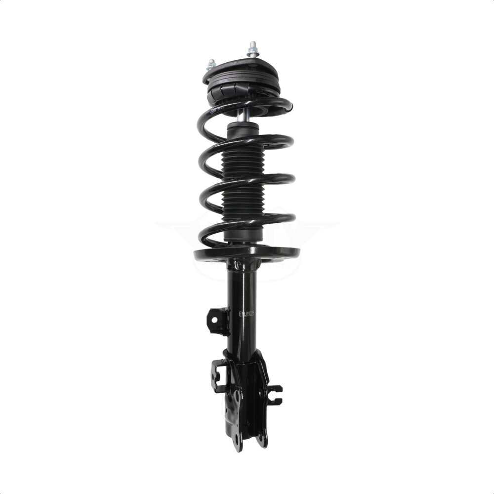 Suspension Strut Coil Spring Assembly