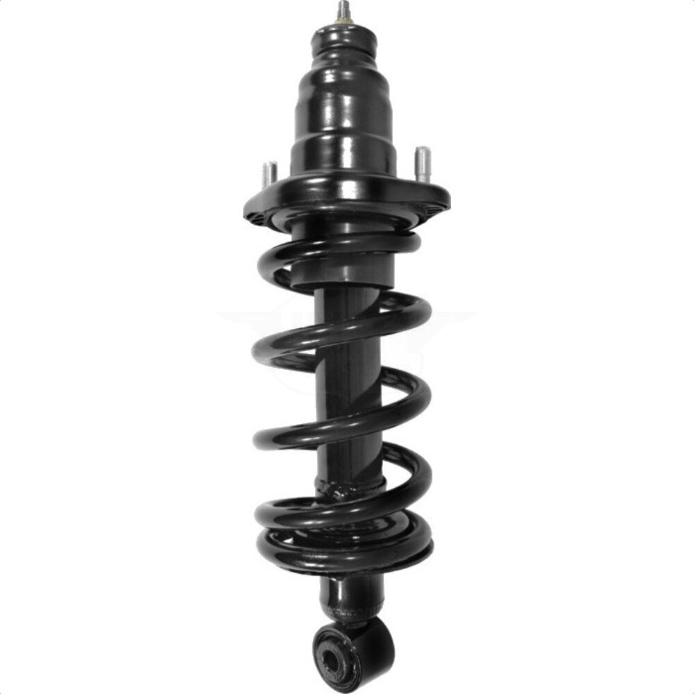 Suspension Strut Coil Spring Assembly