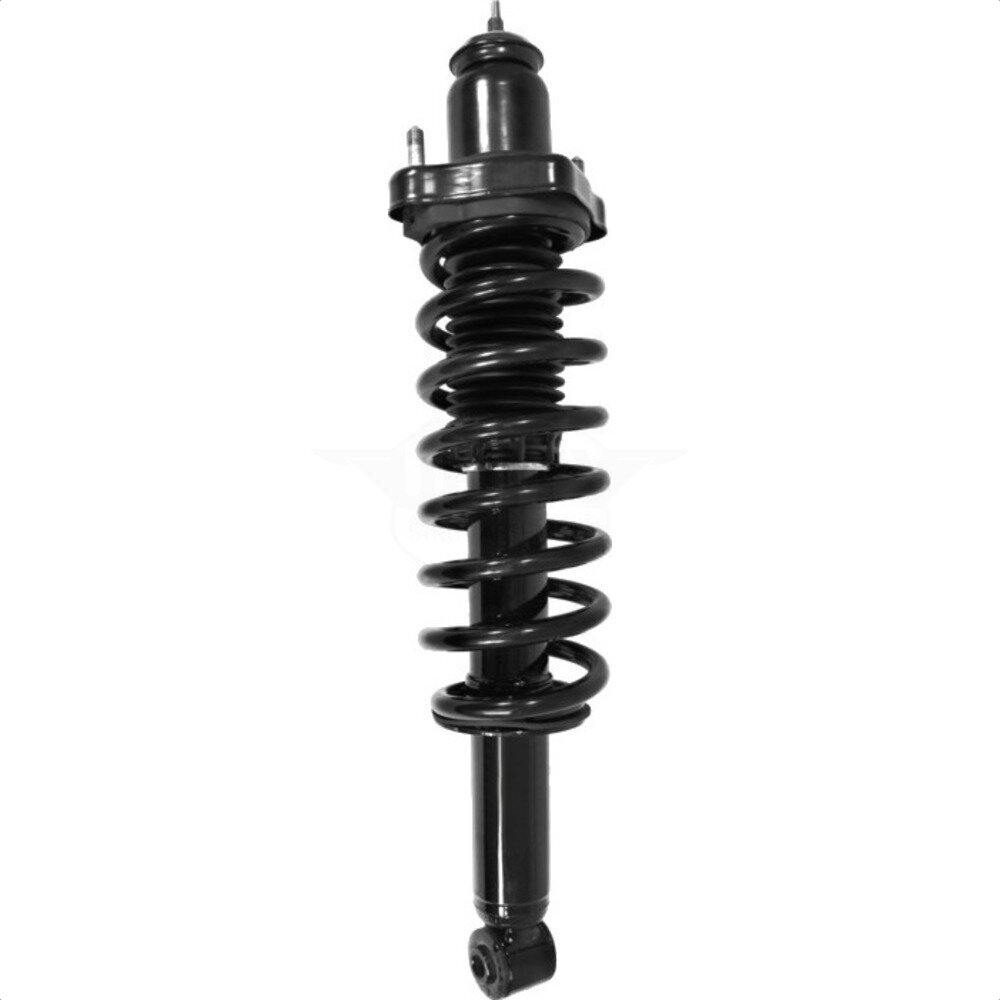 Suspension Strut Coil Spring Assembly