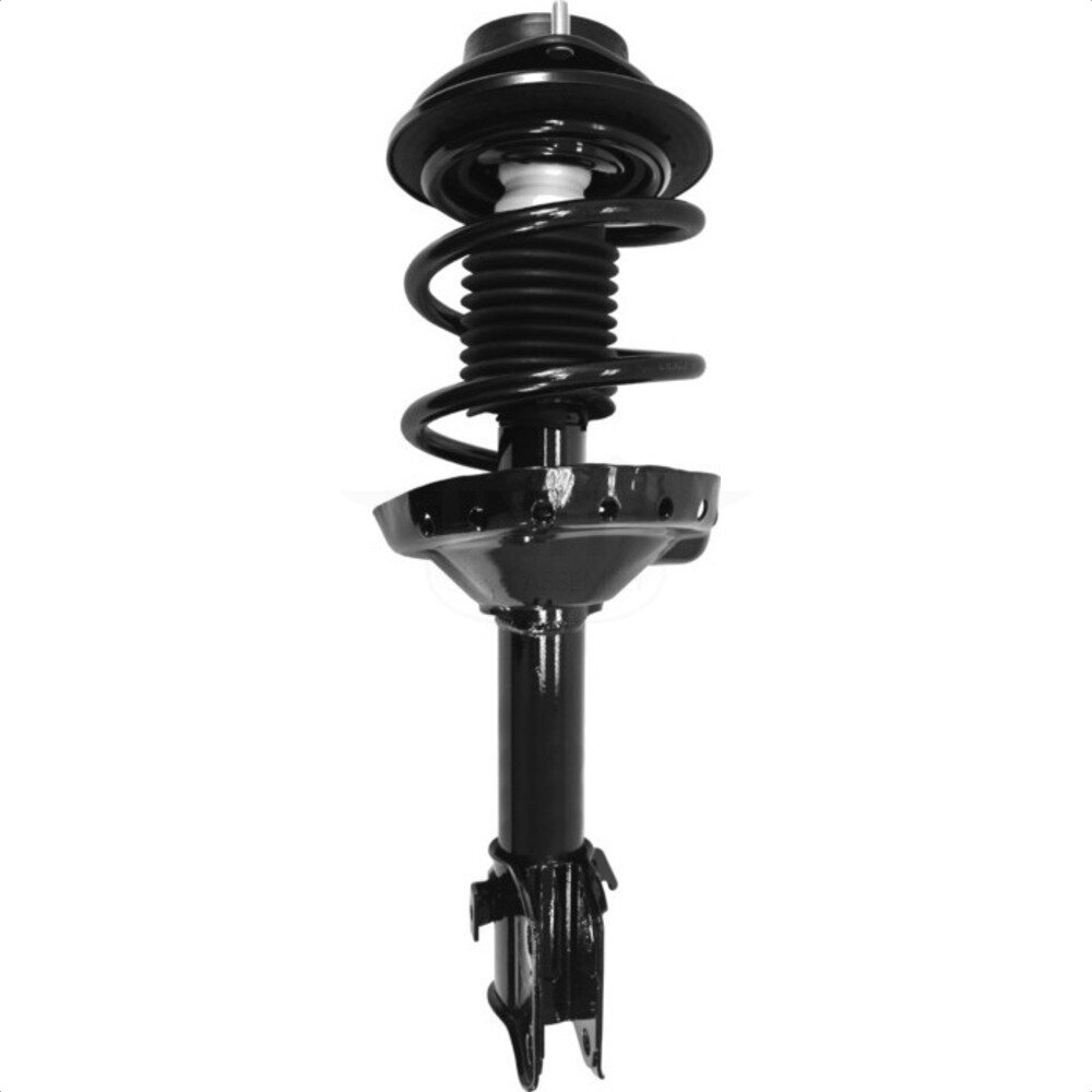 Suspension Strut Coil Spring Assembly