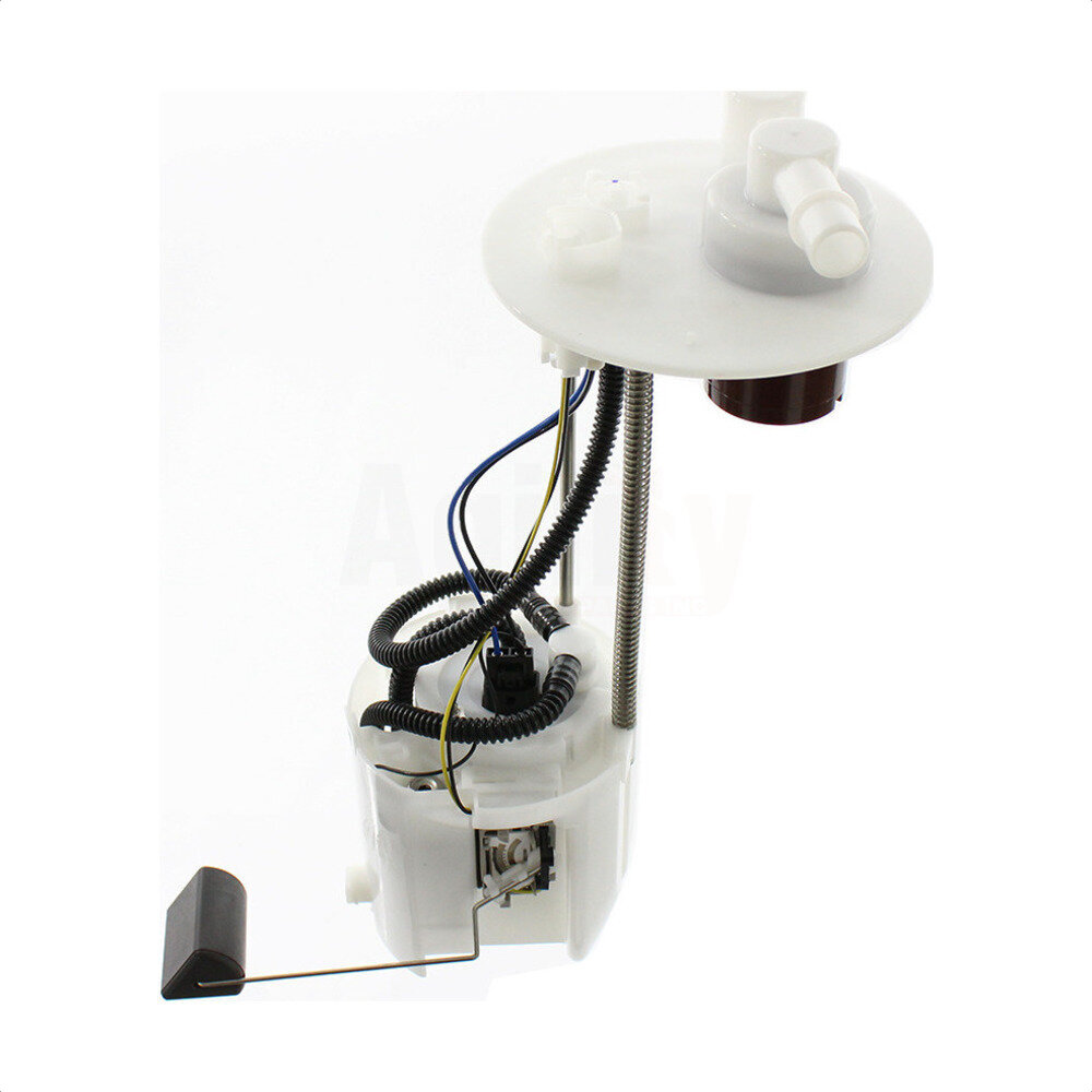 Fuel Pump Module Assembly