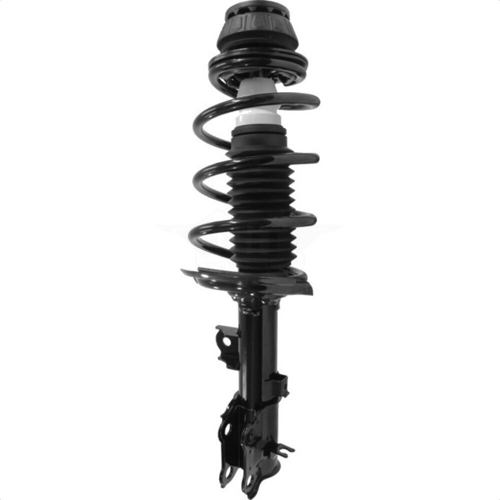 Suspension Strut Coil Spring Assembly