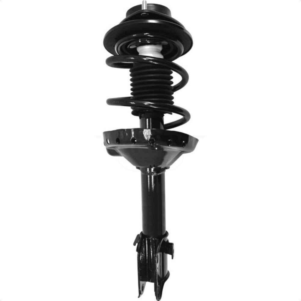 Suspension Strut Coil Spring Assembly