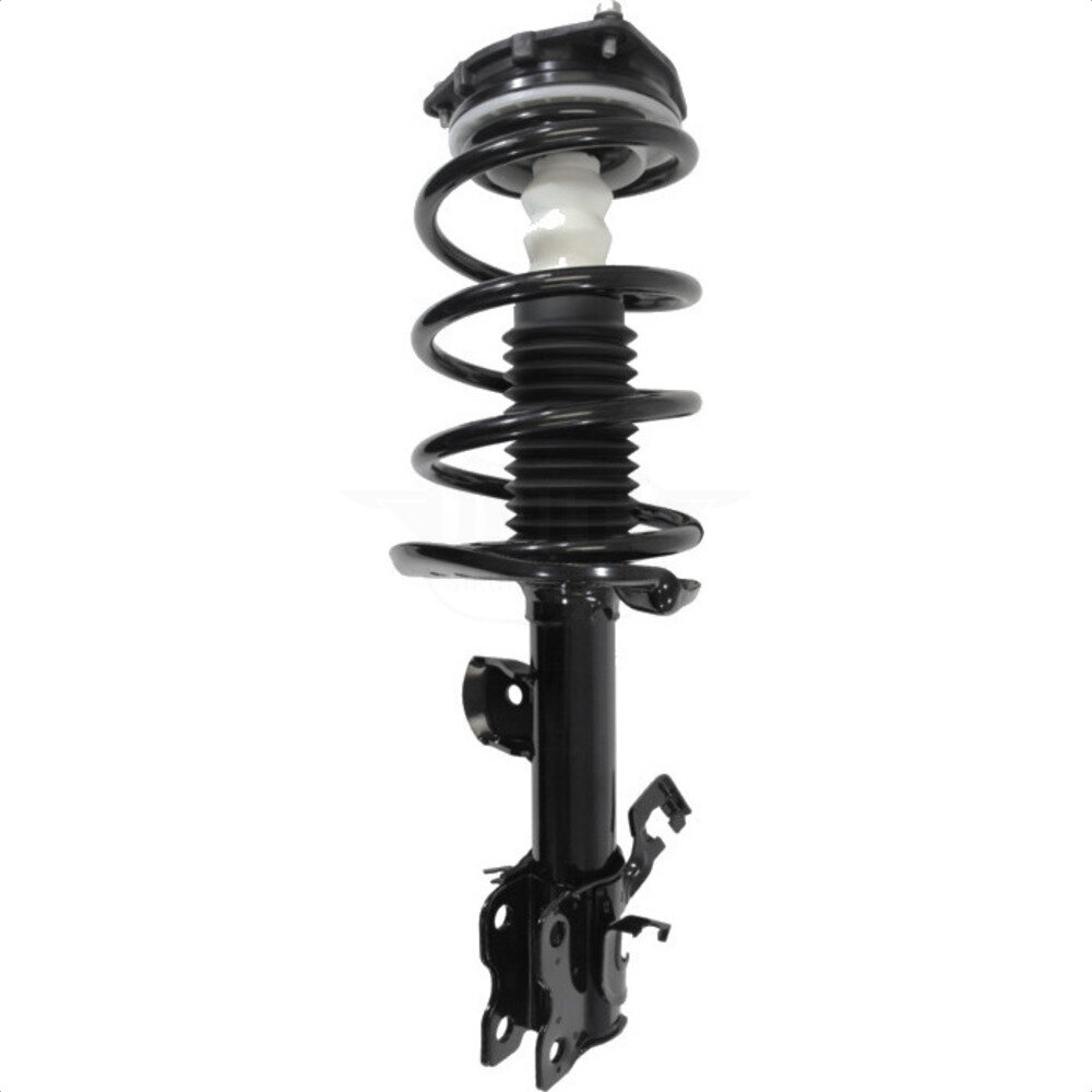 Suspension Strut Coil Spring Assembly