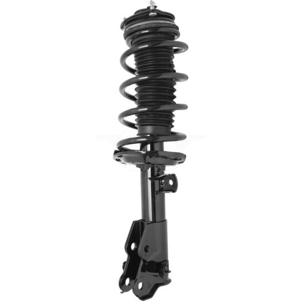 Suspension Strut Coil Spring Assembly