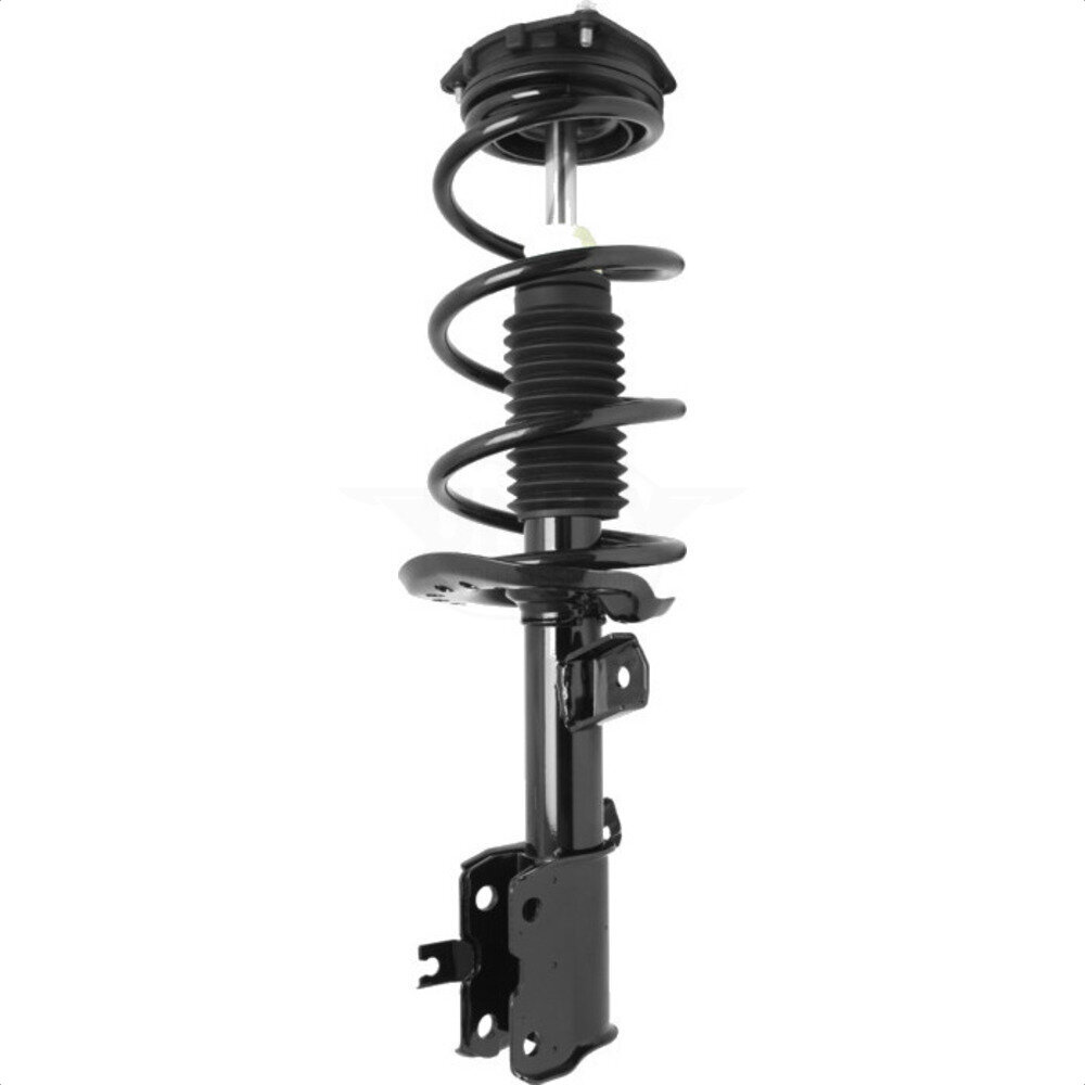 Suspension Strut Coil Spring Assembly