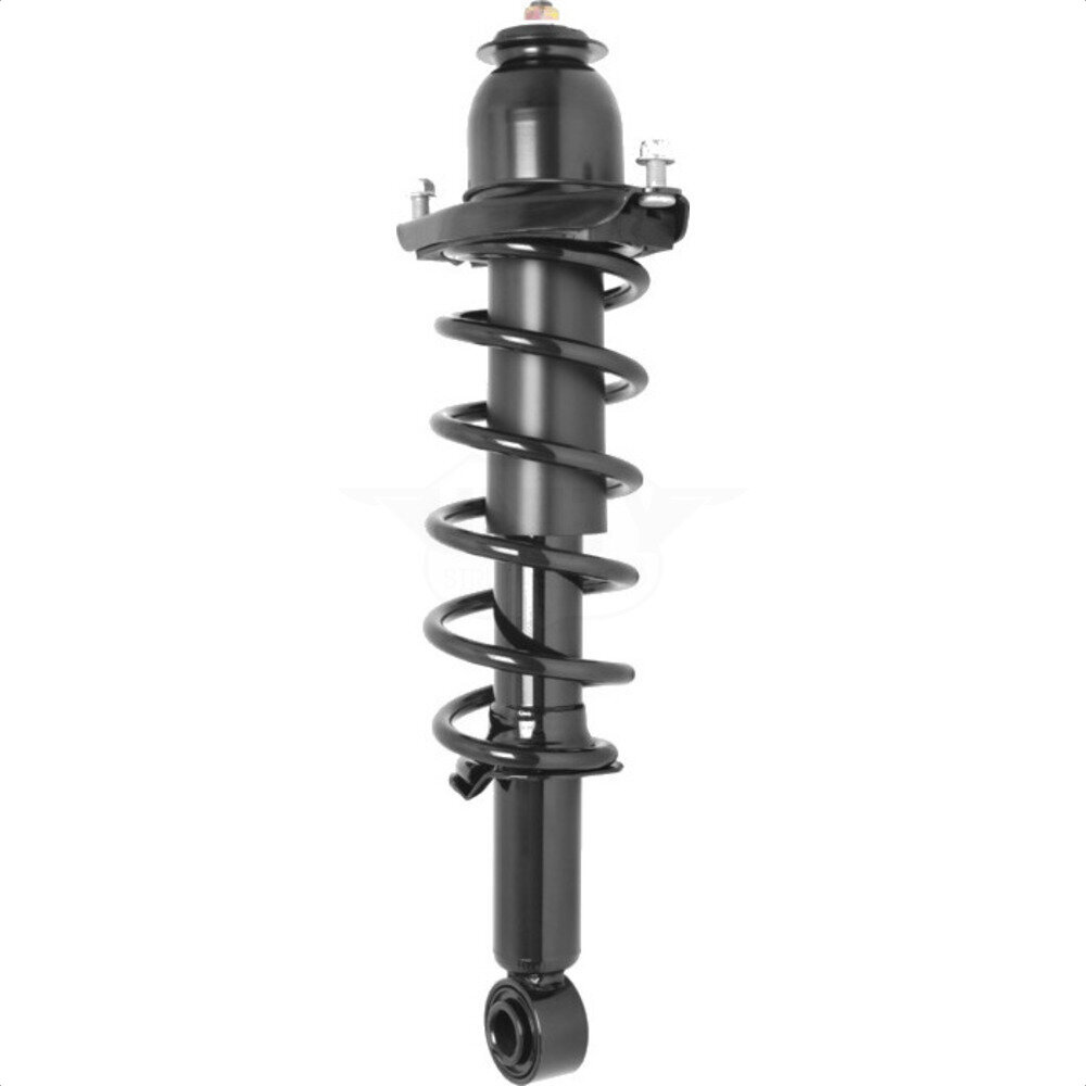 Suspension Strut Coil Spring Assembly