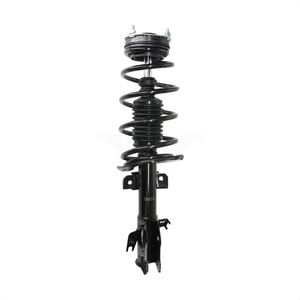 Suspension Strut Coil Spring Assembly