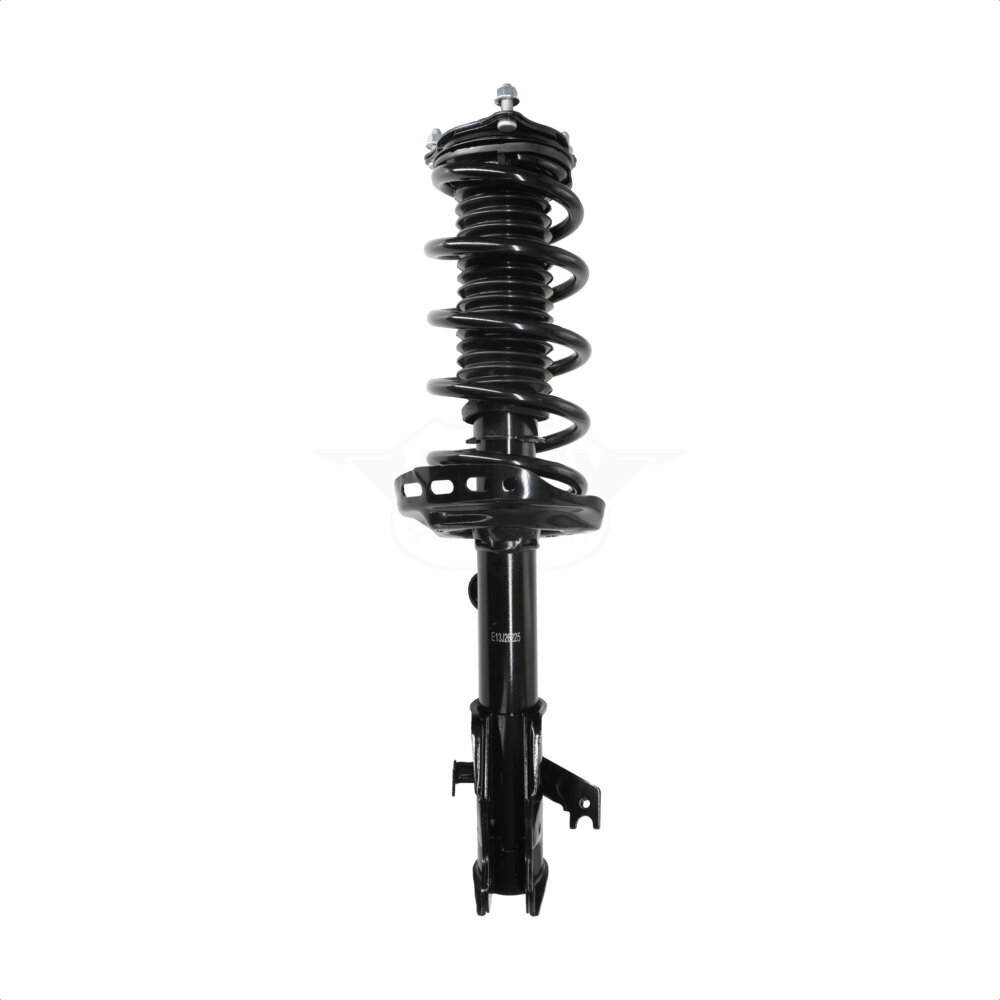 Suspension Strut Coil Spring Assembly