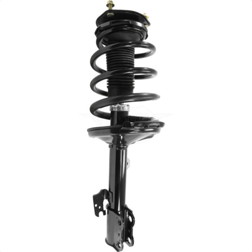 Suspension Strut Coil Spring Assembly
