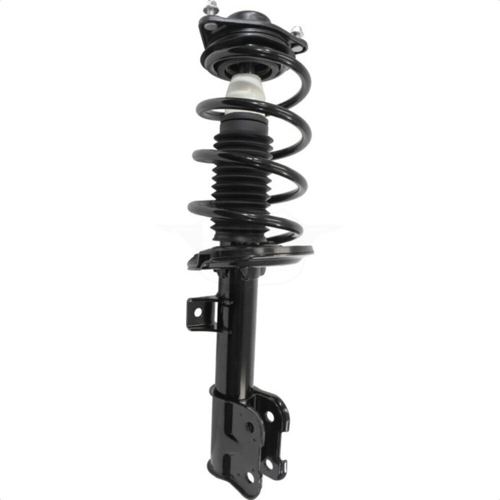 Suspension Strut Coil Spring Assembly