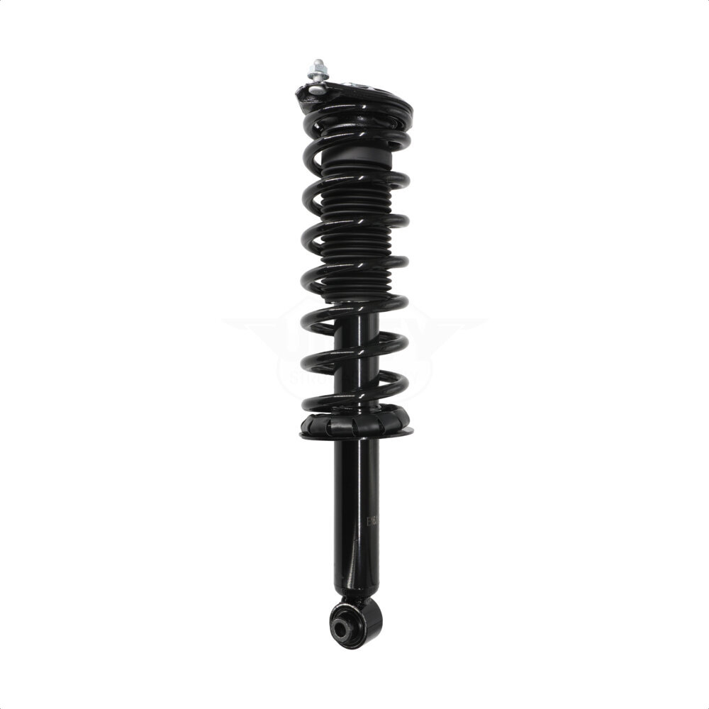 Suspension Strut Coil Spring Assembly