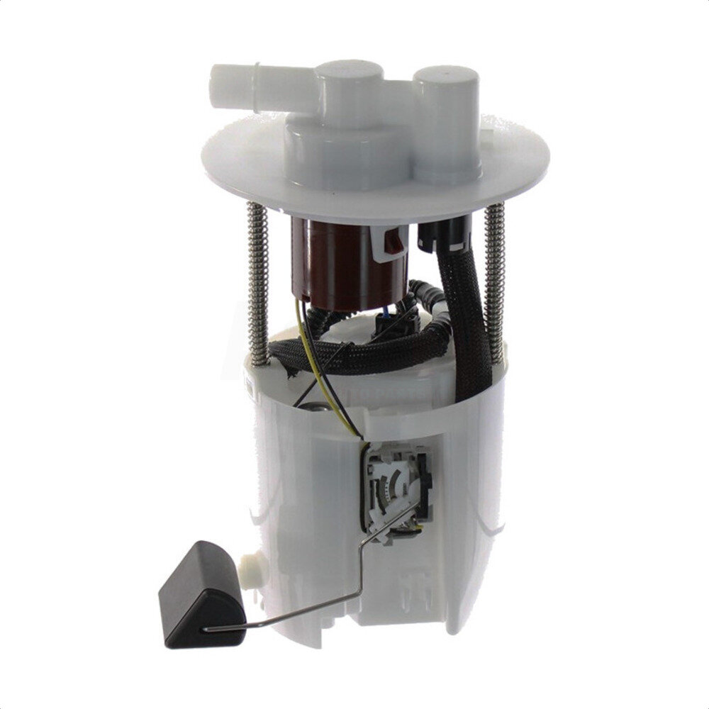 Fuel Pump Module Assembly