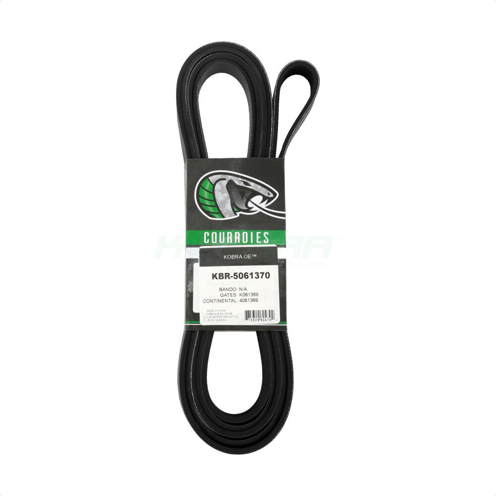 Serpentine Belt