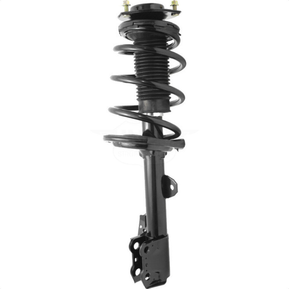 Suspension Strut Coil Spring Assembly