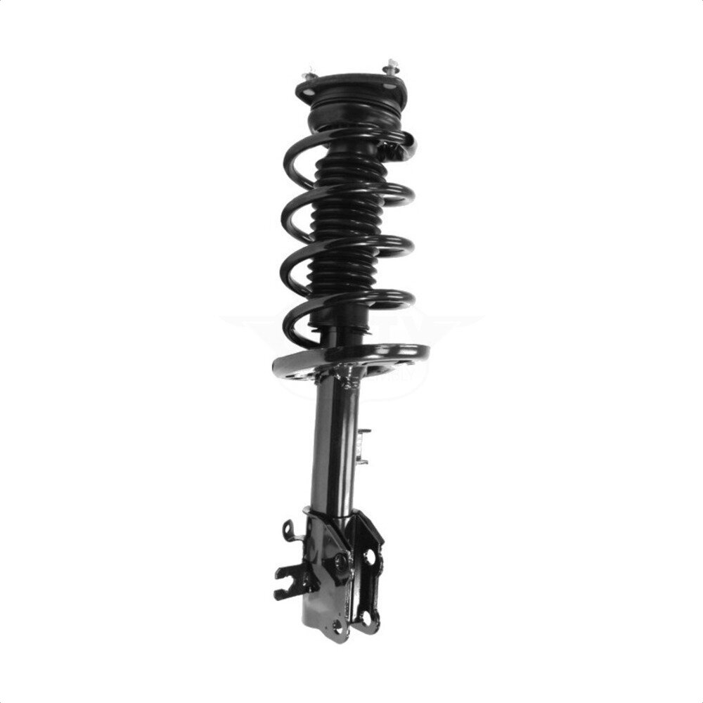 Suspension Strut Coil Spring Assembly