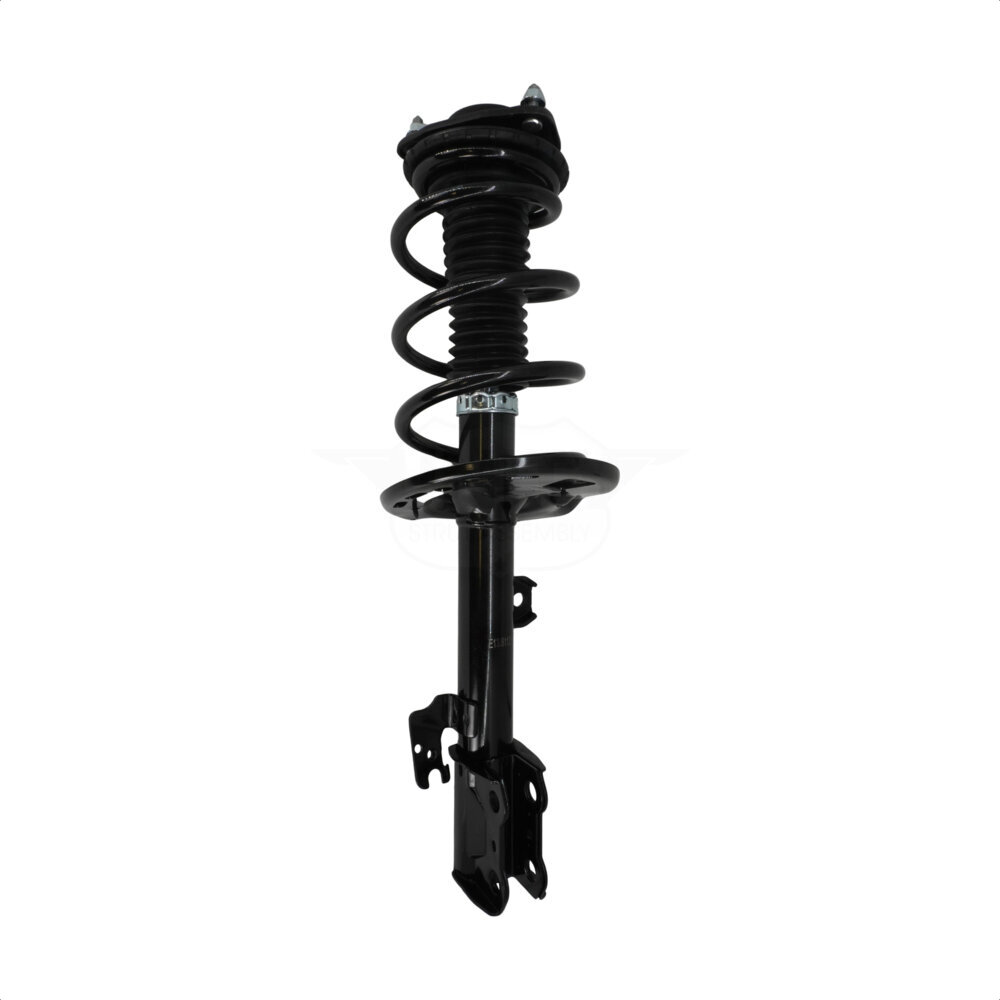 Suspension Strut Coil Spring Assembly