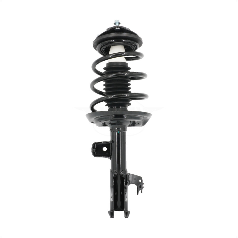 Suspension Strut Coil Spring Assembly