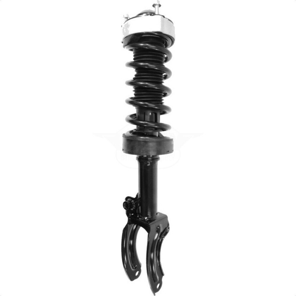 Suspension Strut Coil Spring Assembly