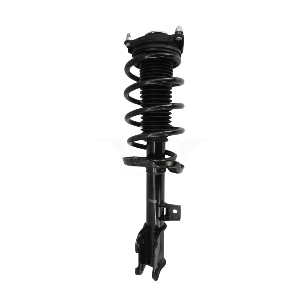 Suspension Strut Coil Spring Assembly