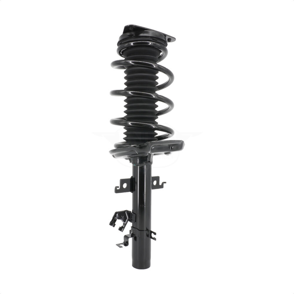 Suspension Strut Coil Spring Assembly