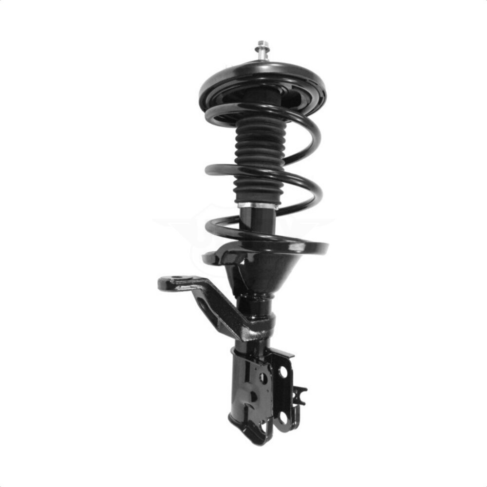 Suspension Strut Coil Spring Assembly