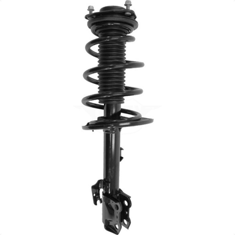 Suspension Strut Coil Spring Assembly