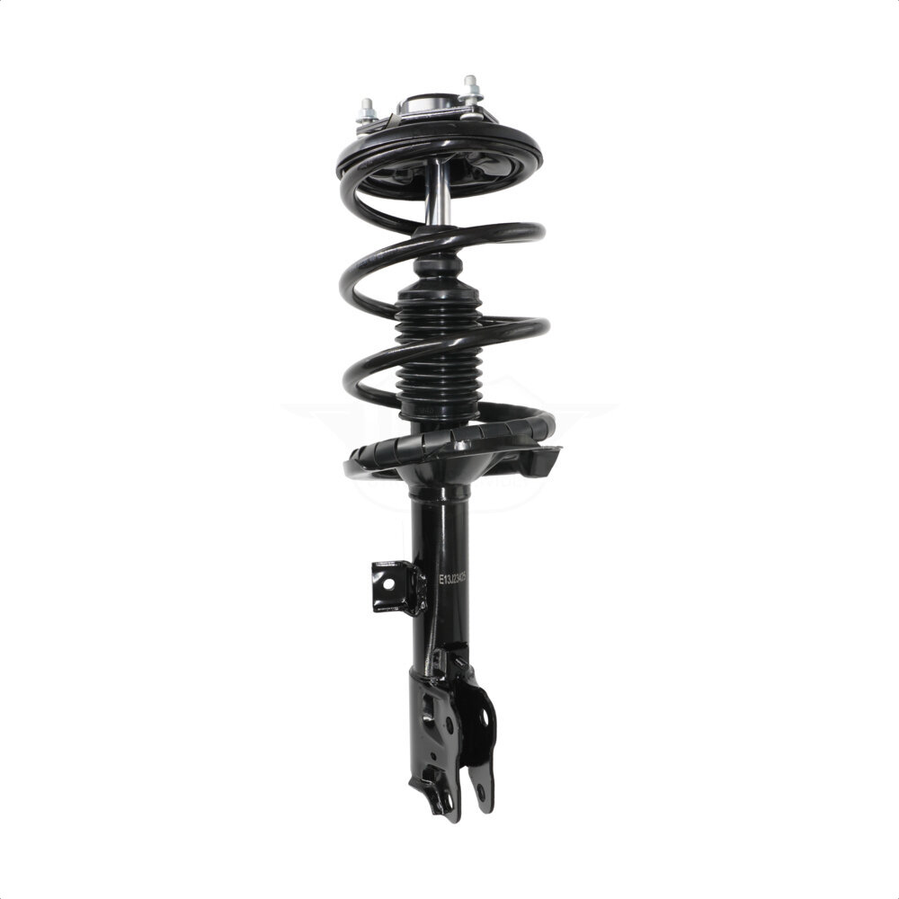 Suspension Strut Coil Spring Assembly
