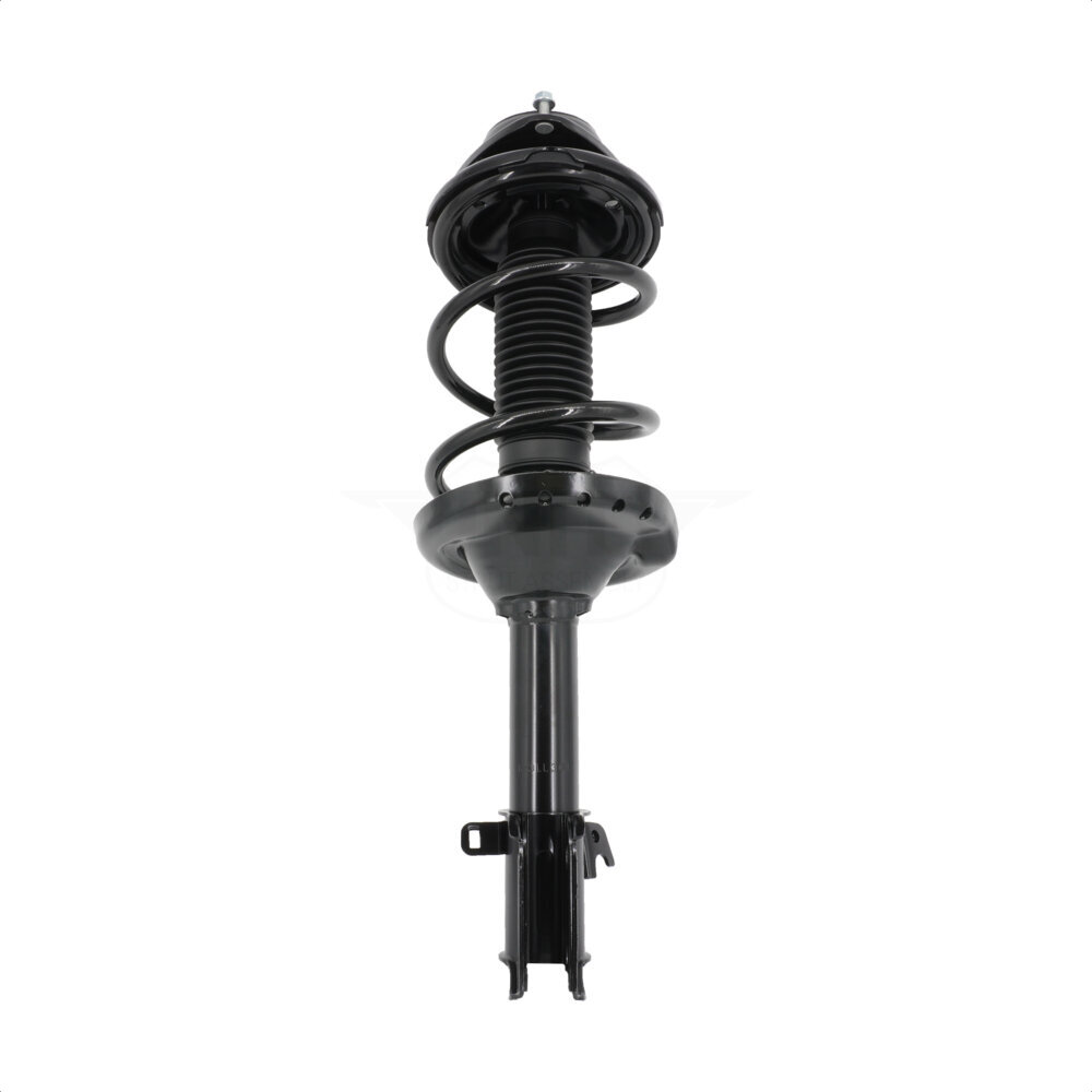 Suspension Strut Coil Spring Assembly