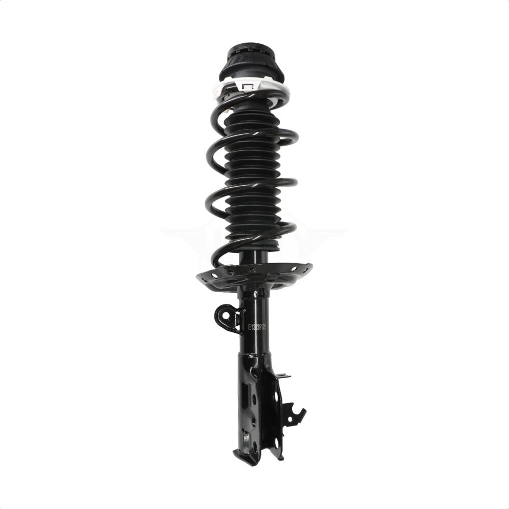 Suspension Strut Coil Spring Assembly