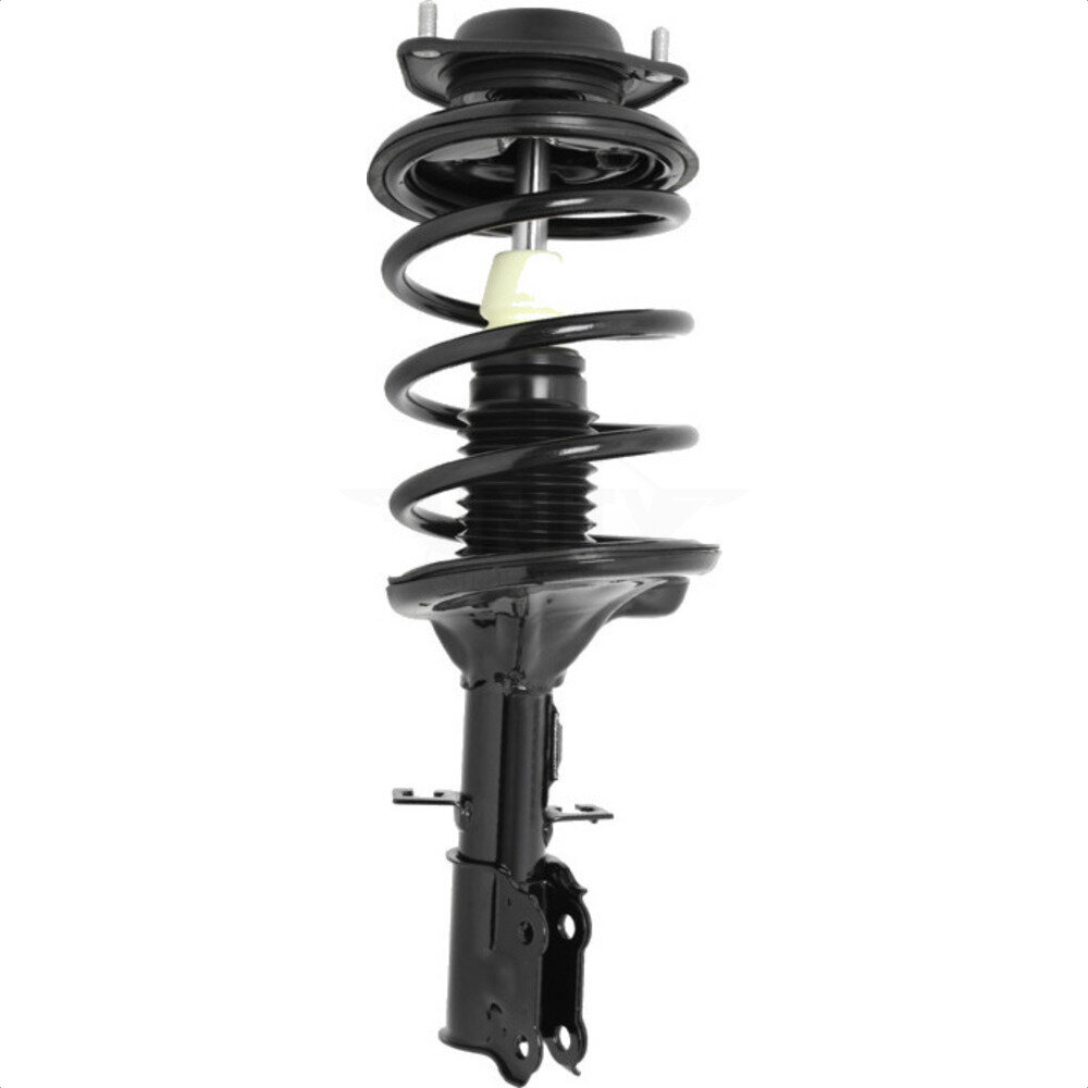 Suspension Strut Coil Spring Assembly