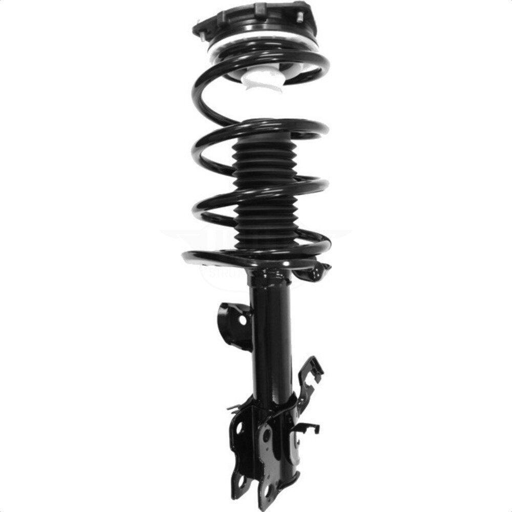 Suspension Strut Coil Spring Assembly