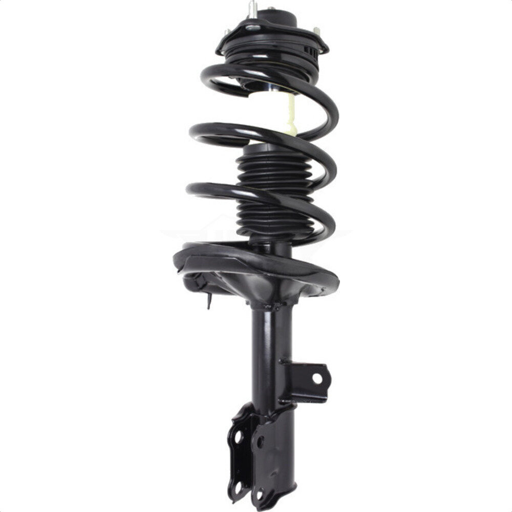 Suspension Strut Coil Spring Assembly
