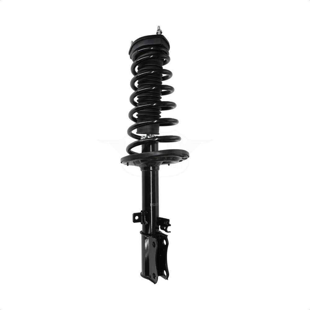 Suspension Strut Coil Spring Assembly