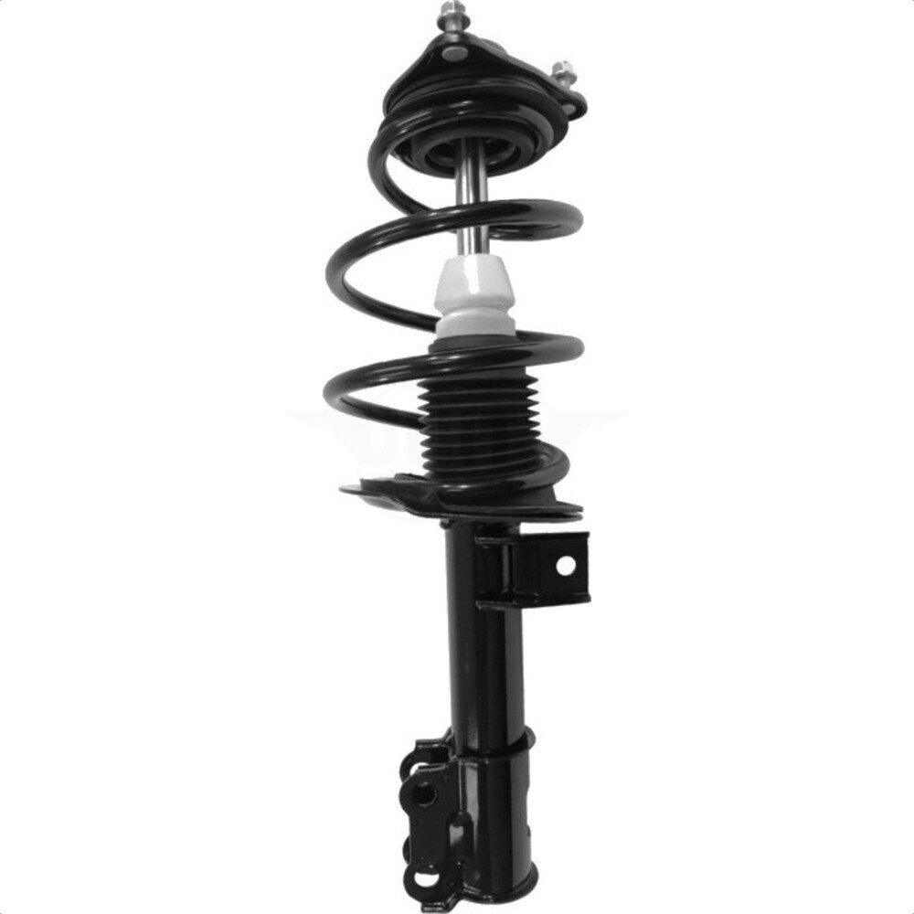 Suspension Strut Coil Spring Assembly