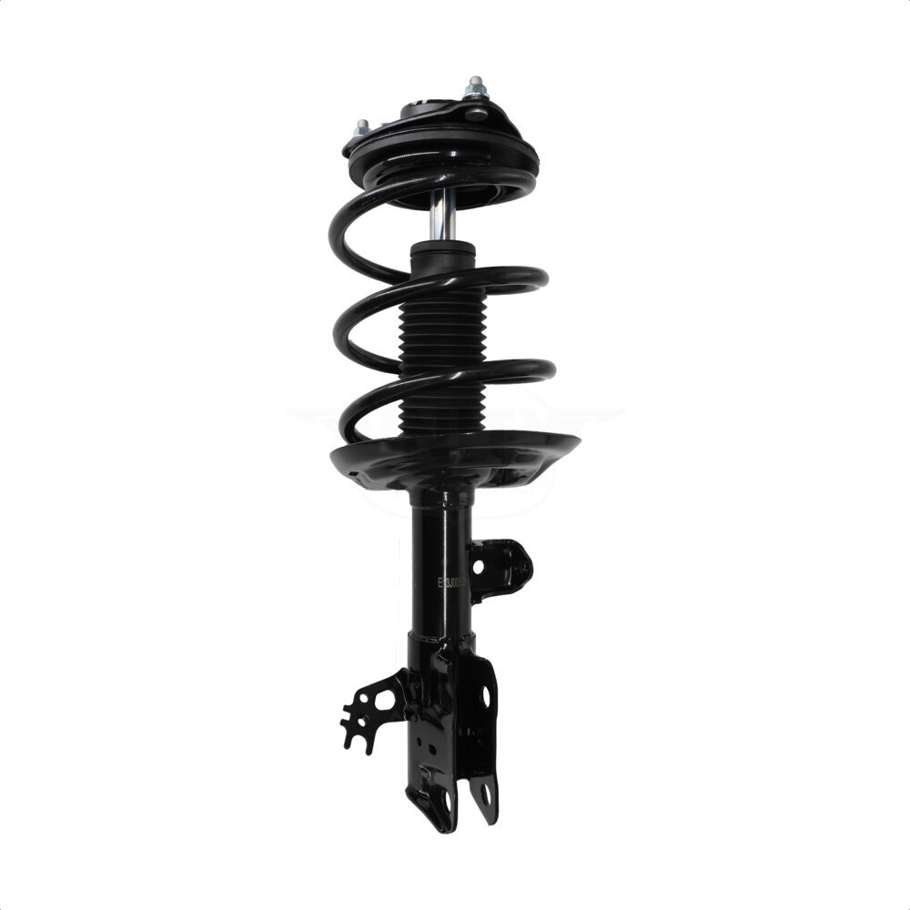 Suspension Strut Coil Spring Assembly