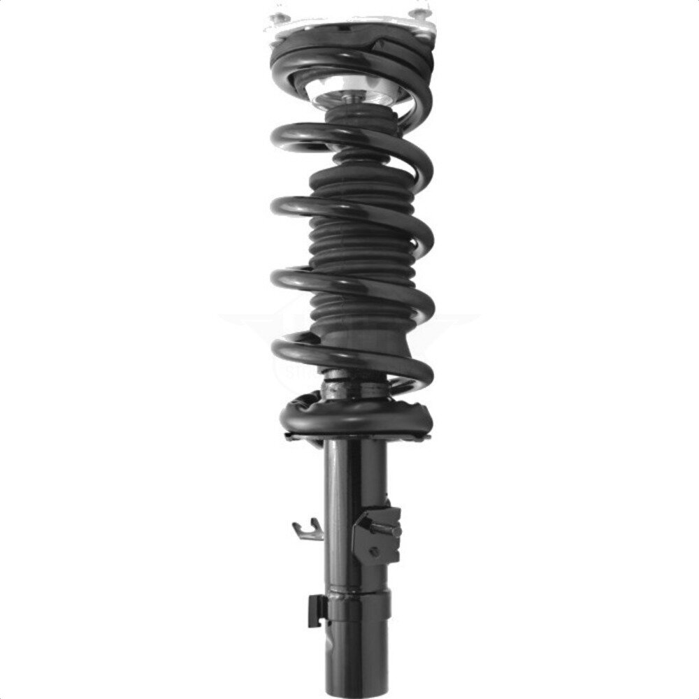Suspension Strut Coil Spring Assembly
