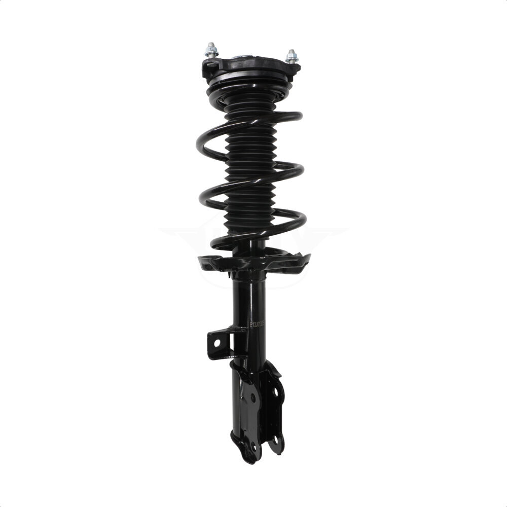 Suspension Strut Coil Spring Assembly