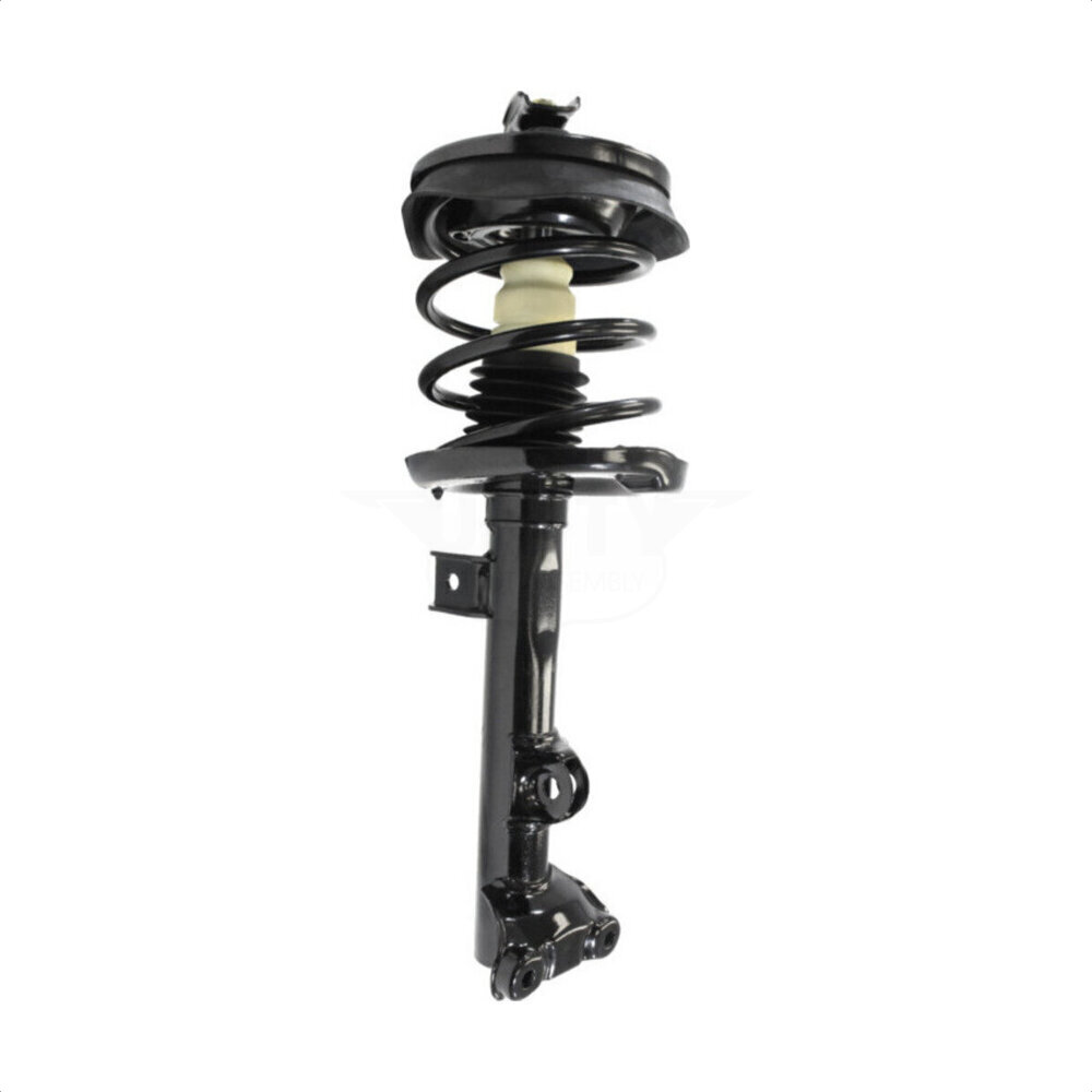 Suspension Strut Coil Spring Assembly