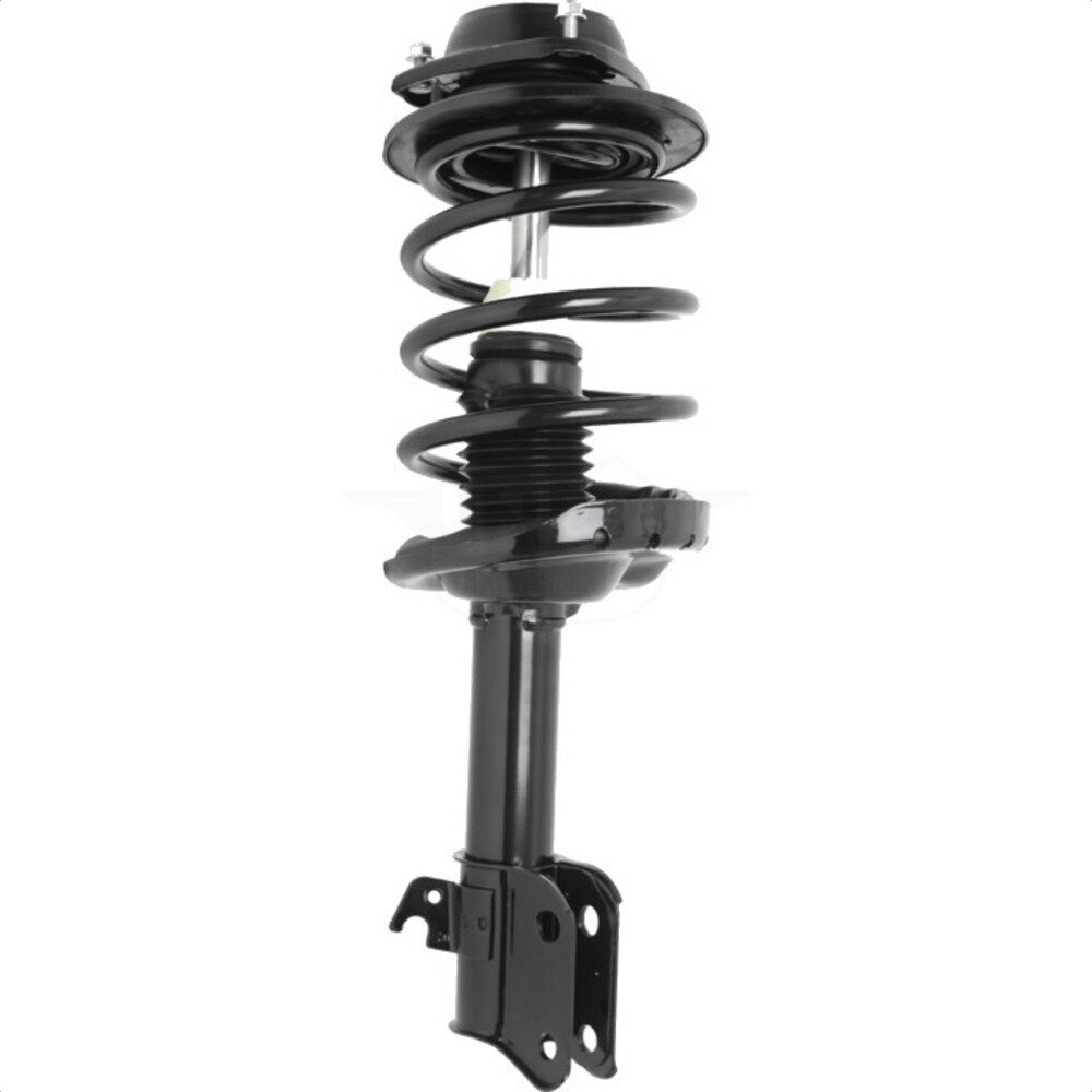 Suspension Strut Coil Spring Assembly